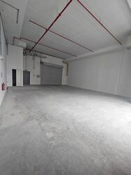 Ct Foodnex (D25), Factory #615633121